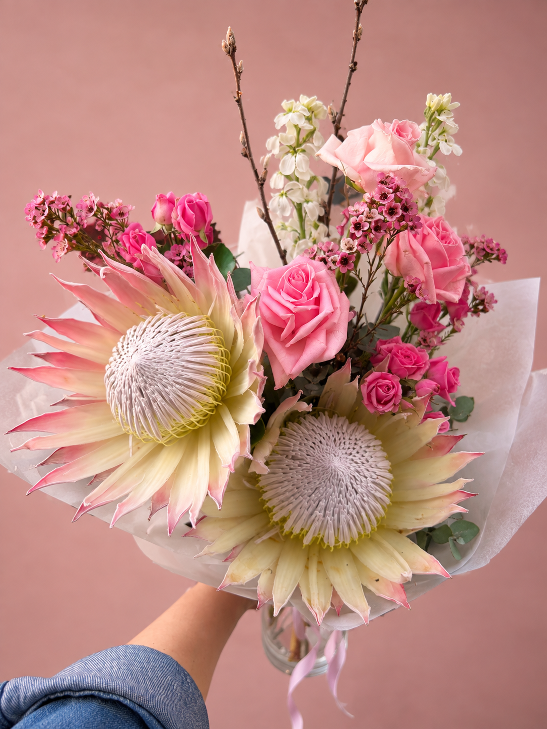 Blush protea