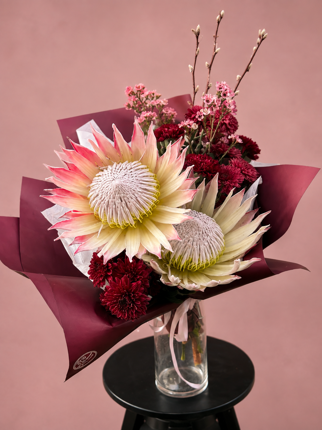 Blush Protea in red