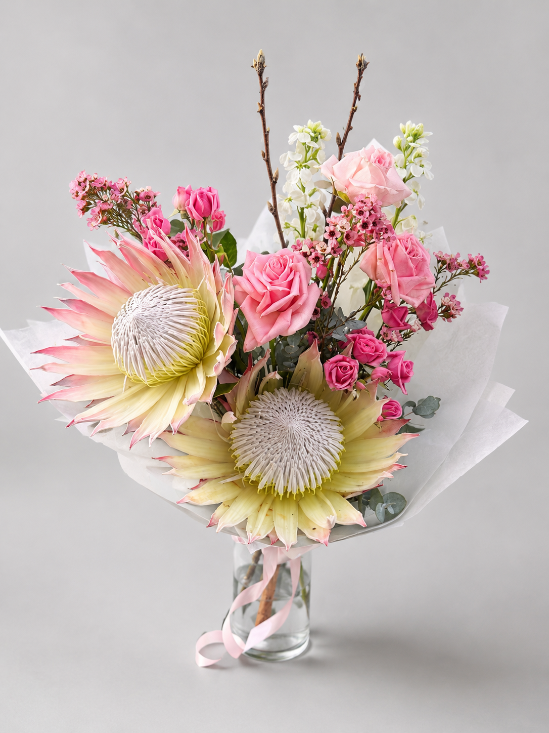 Blush protea