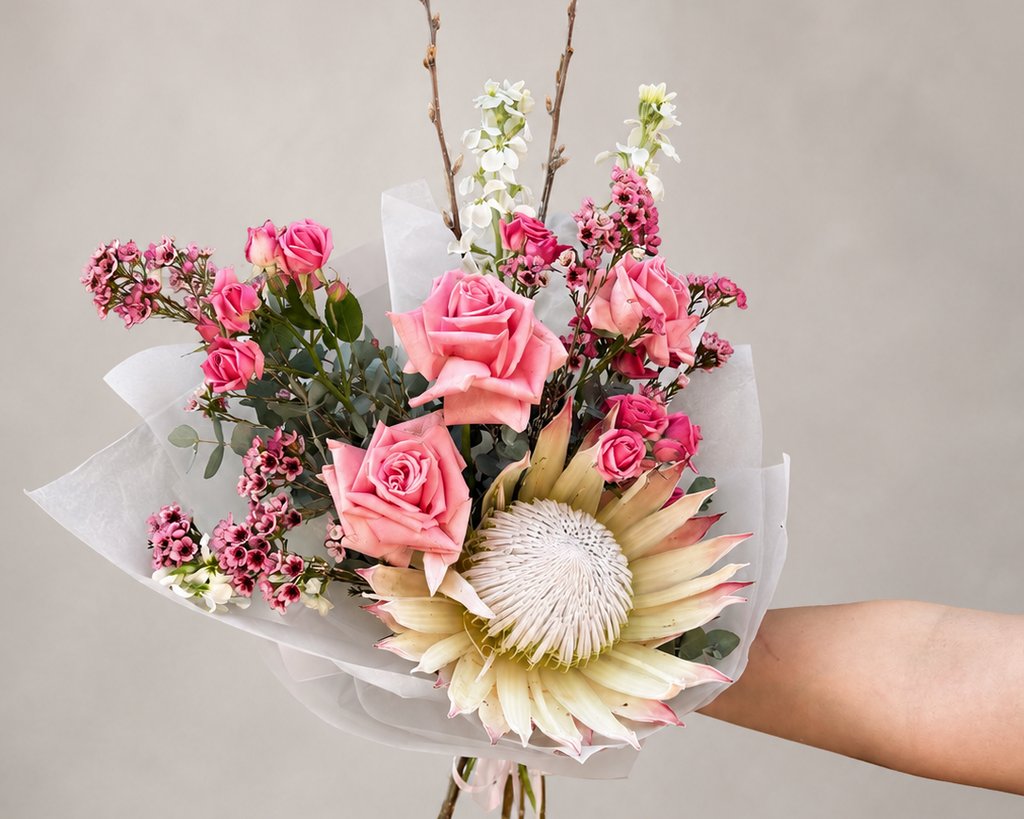 Blush Protea Petite