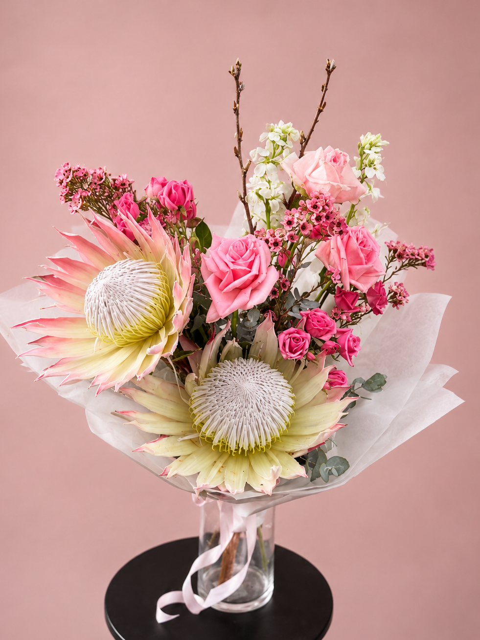 Blush protea