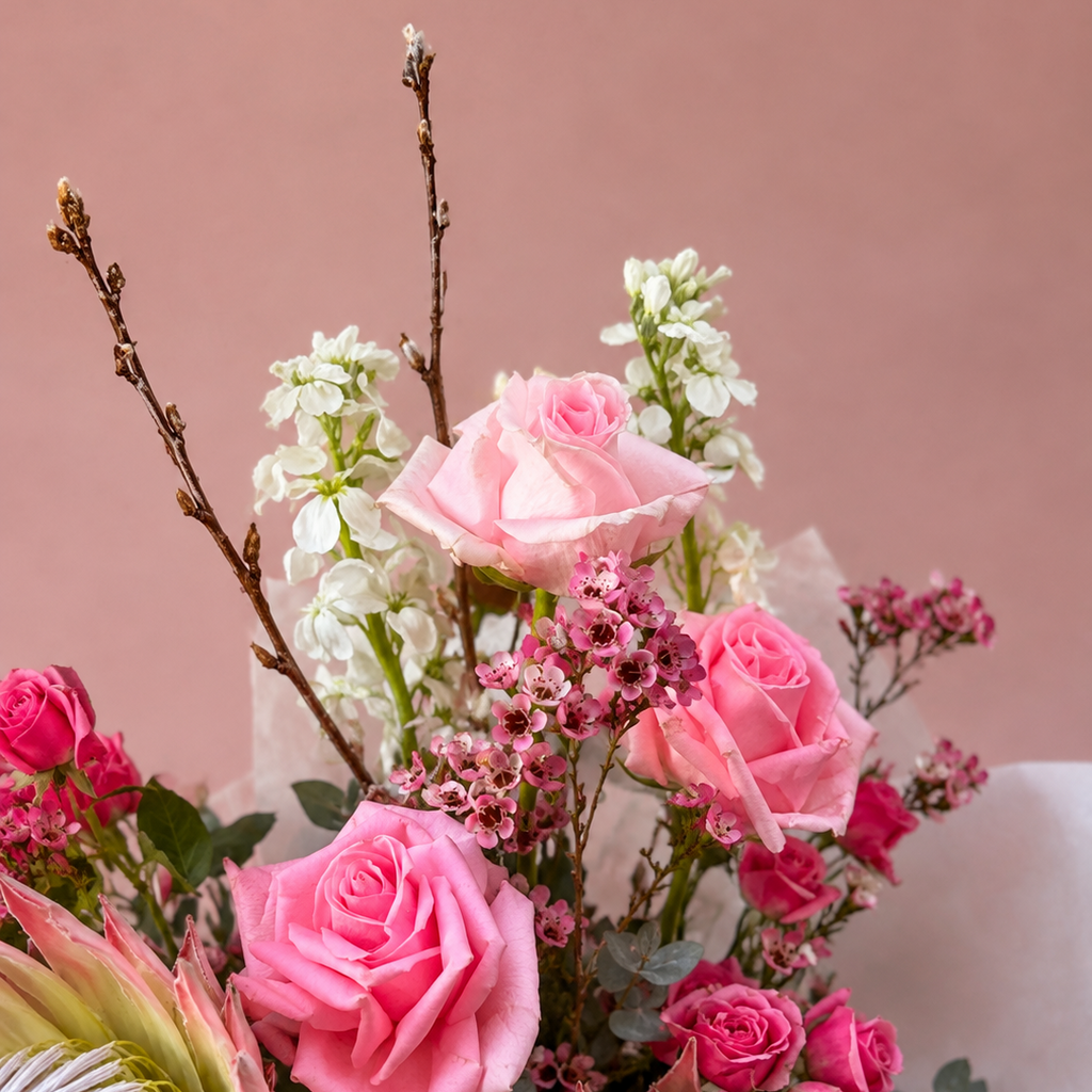 Blush protea