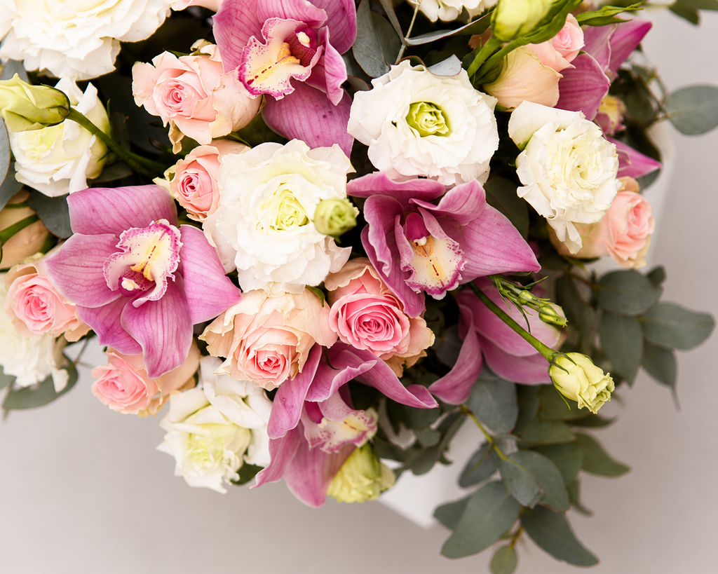 Orchid Elegance Box