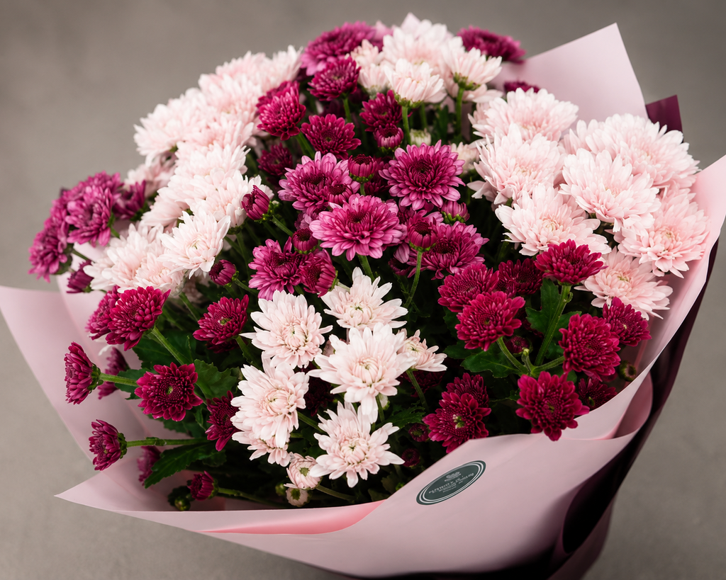 Chrysanthemum Charm