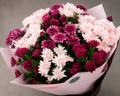 Chrysanthemum Charm