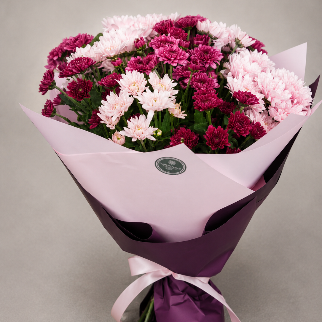 Chrysanthemum Charm