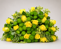 Lemon & Lime