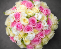 Blush Elegance Box