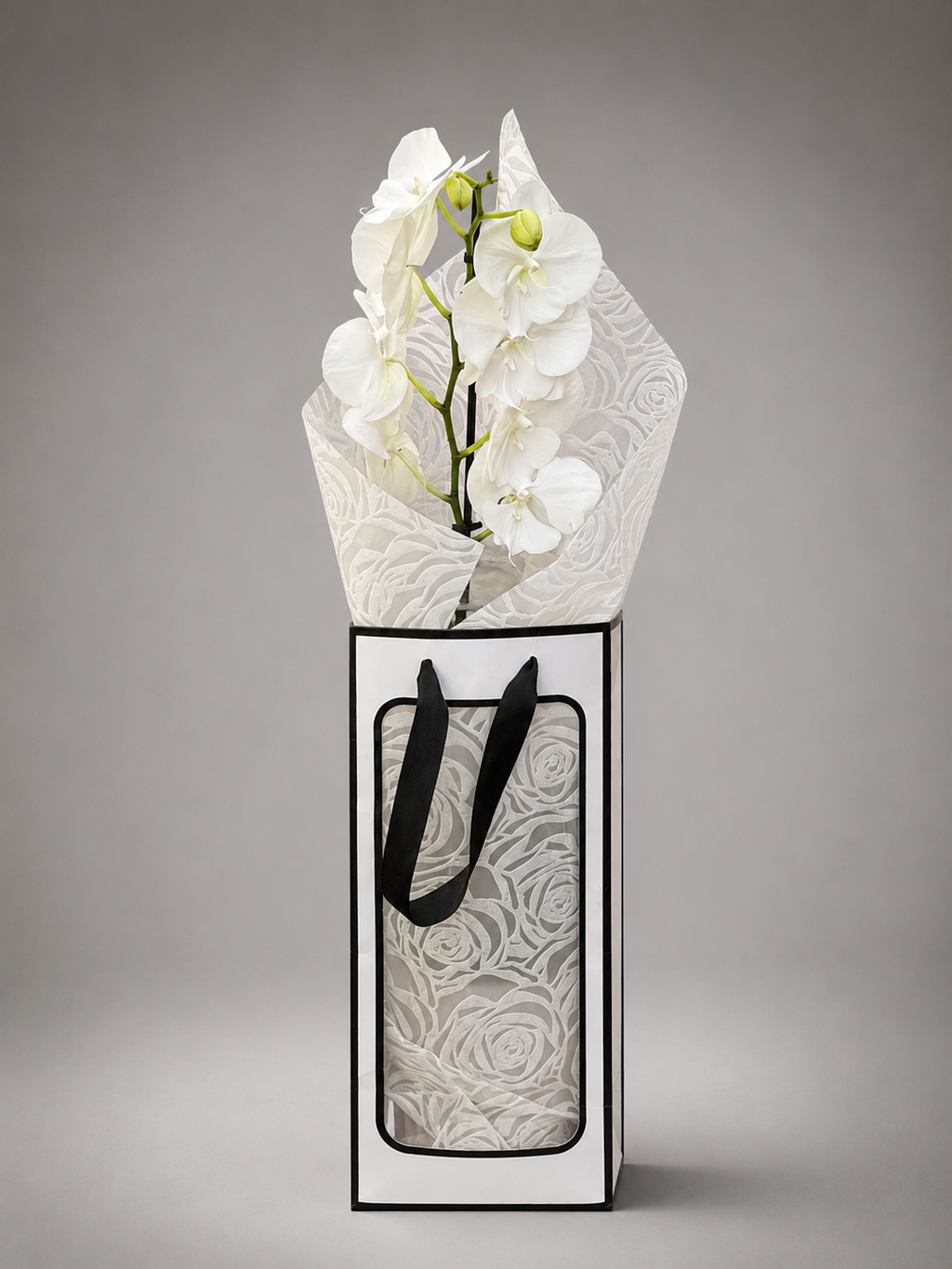 Phalaenopsis Orchid Gift Bag