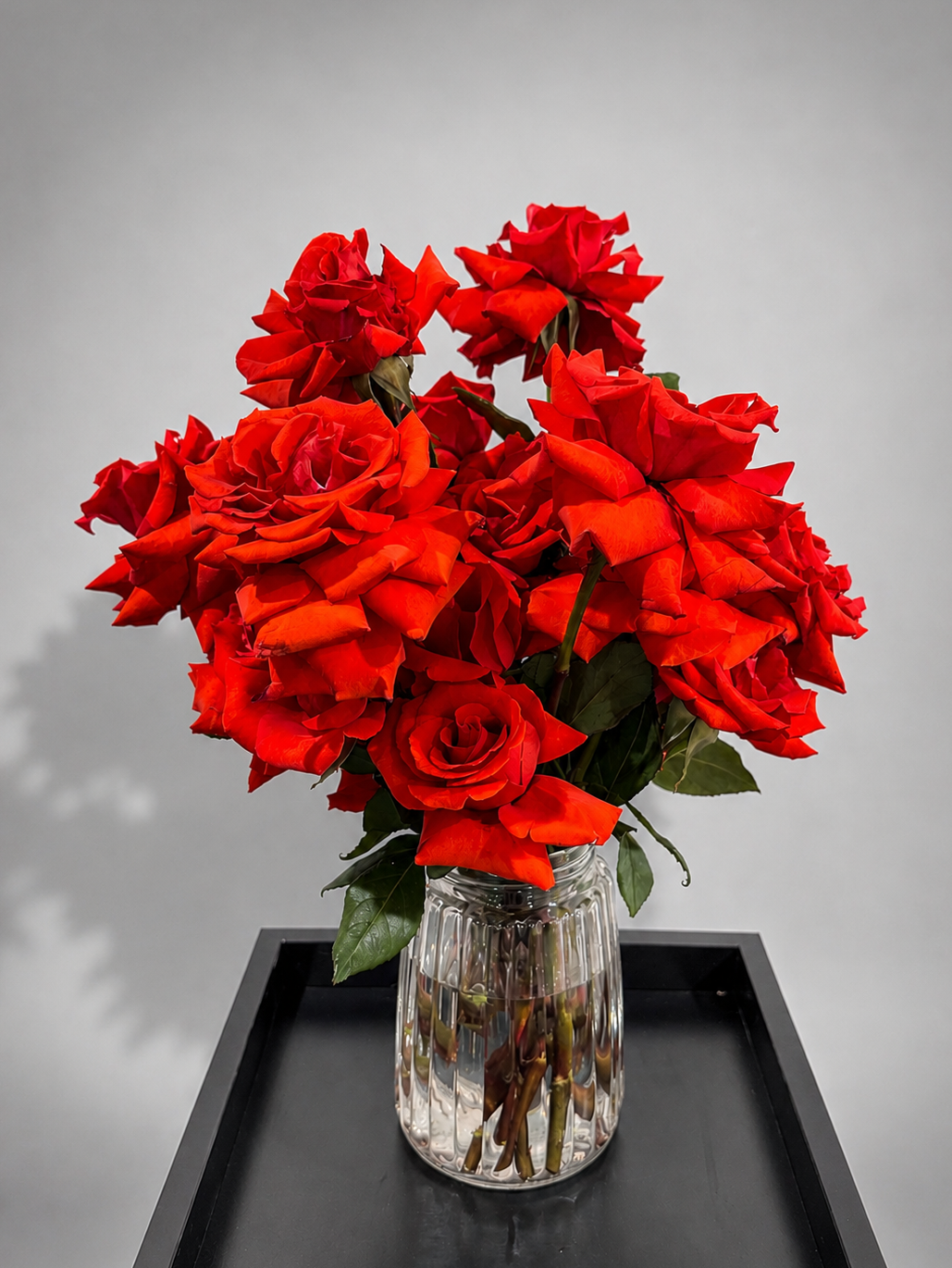 Roses in a Jar