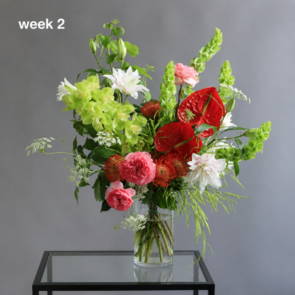 Friday Flowers