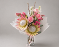 Blush protea