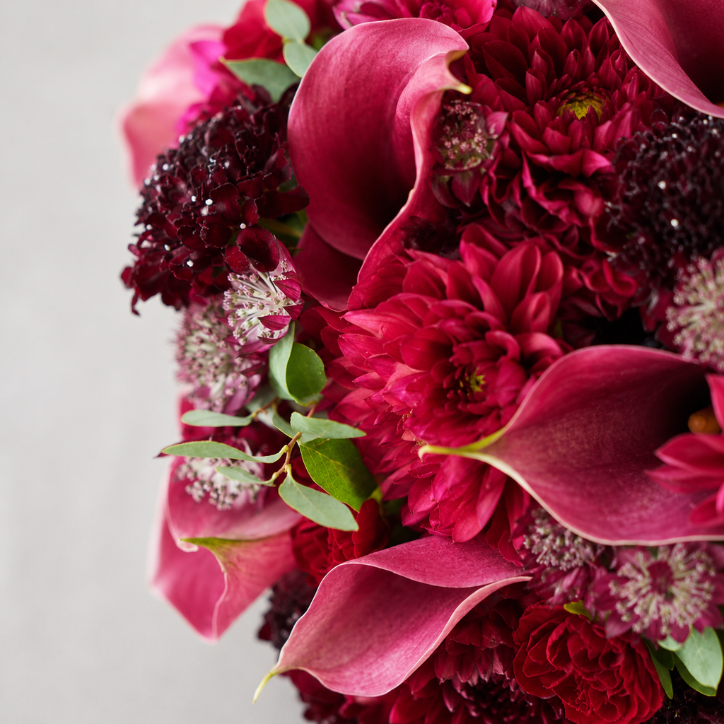 Crimson Elegance