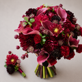 Crimson Elegance
