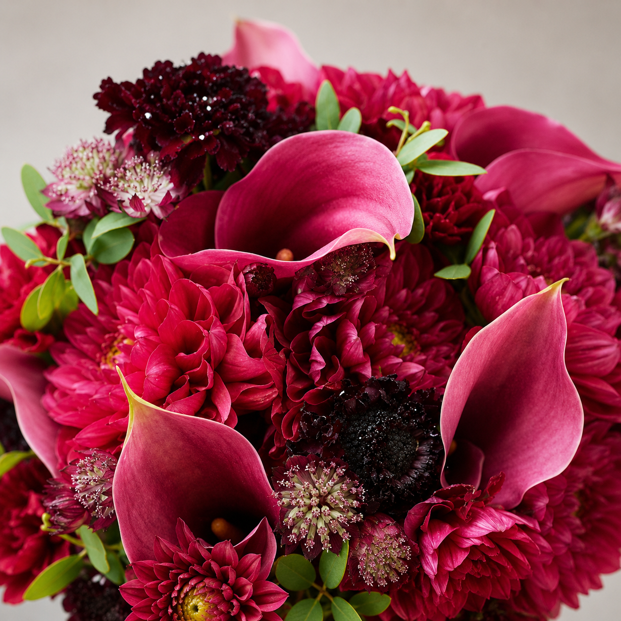 Crimson Elegance