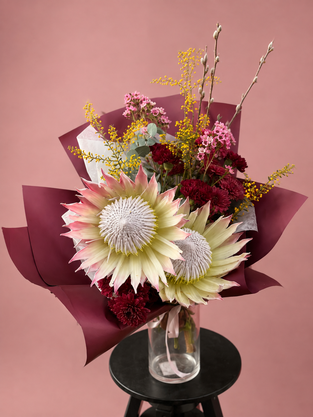Blush Protea in red