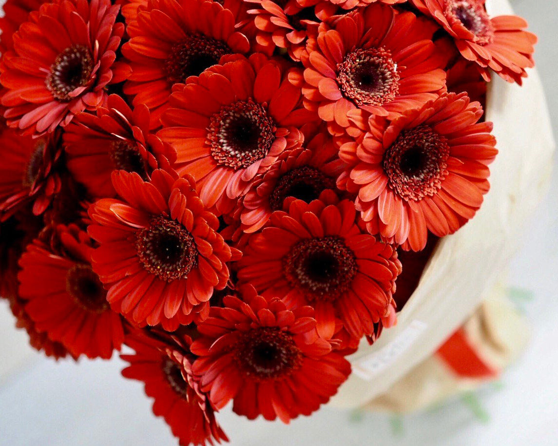 Gerbera Bouquet