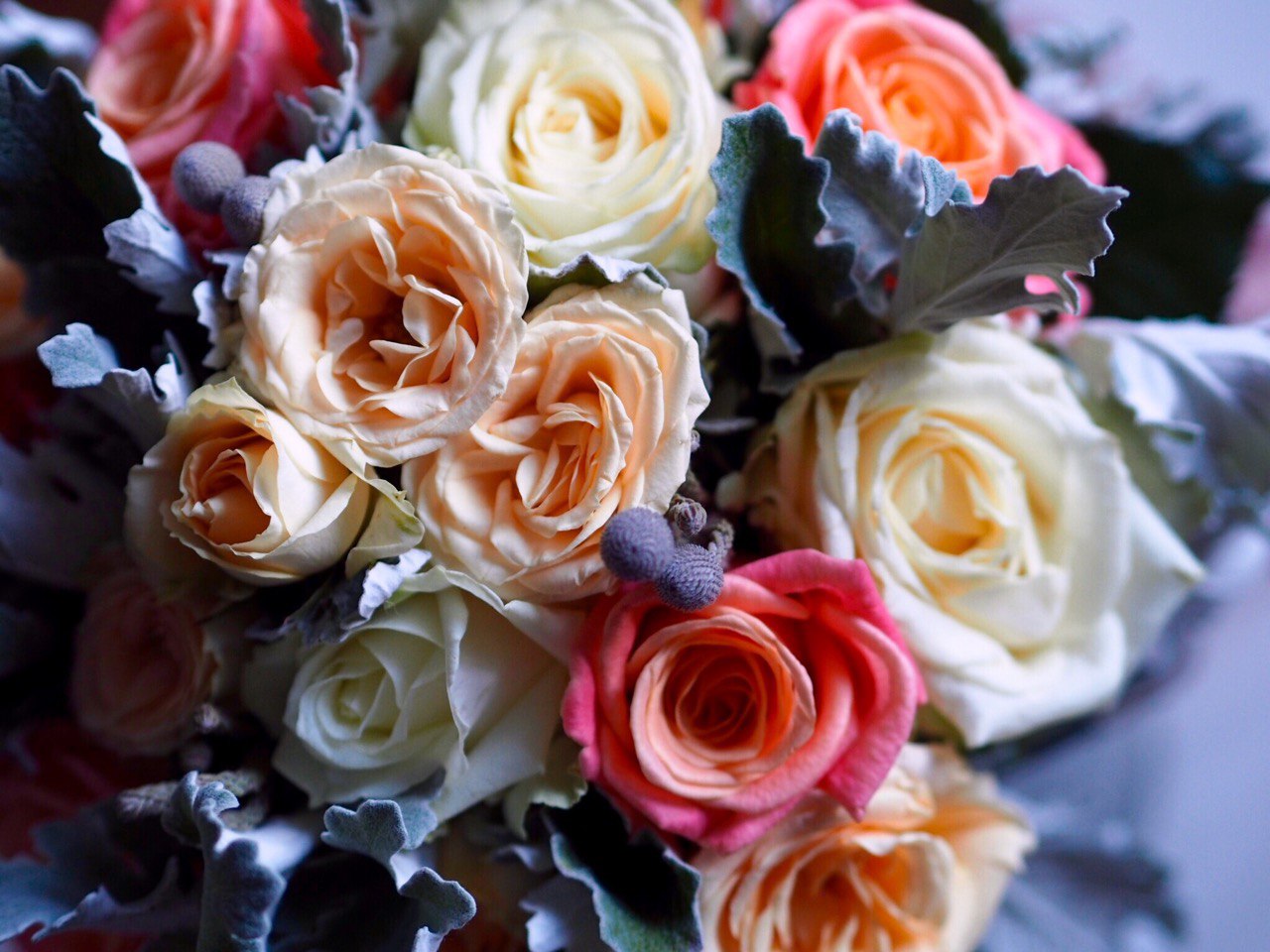 Peach Blush Elegance