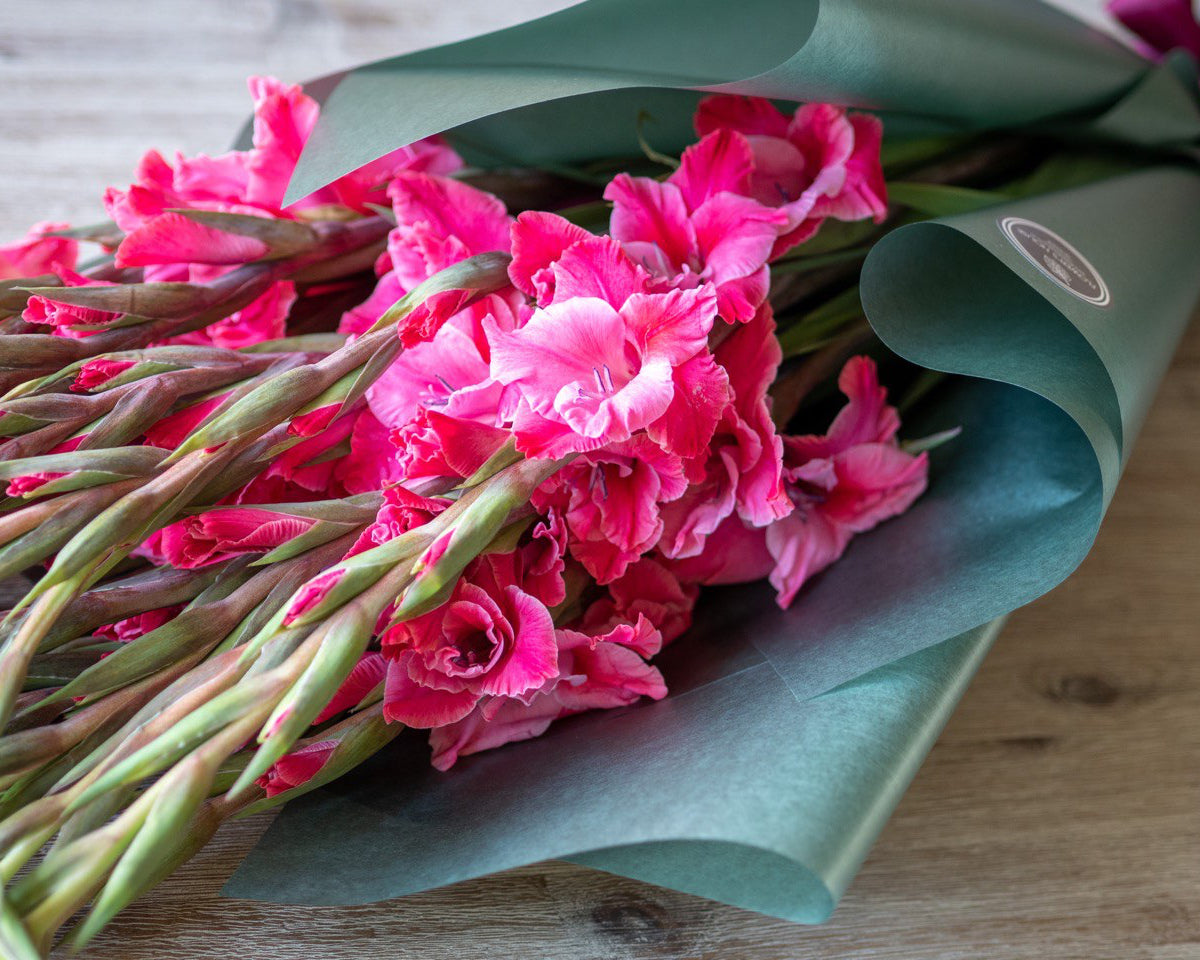 Gladiolus Bouquet