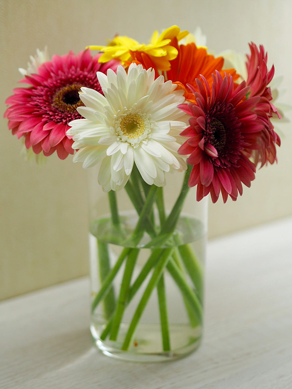 Gerbera Bouquet