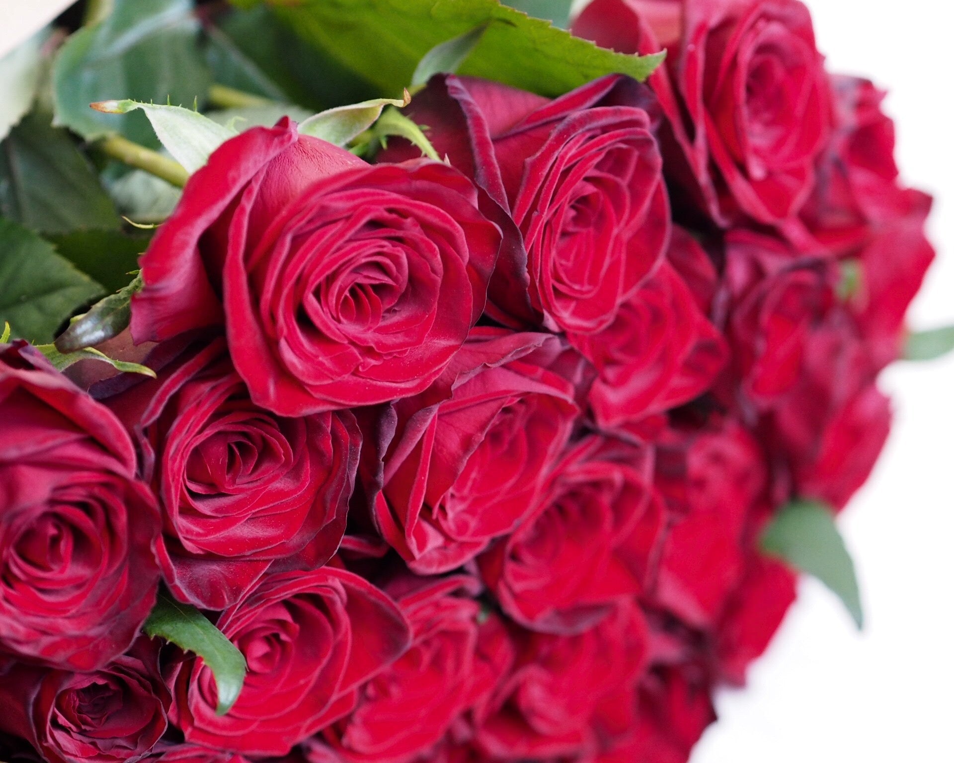 Classic Rose Bouquet