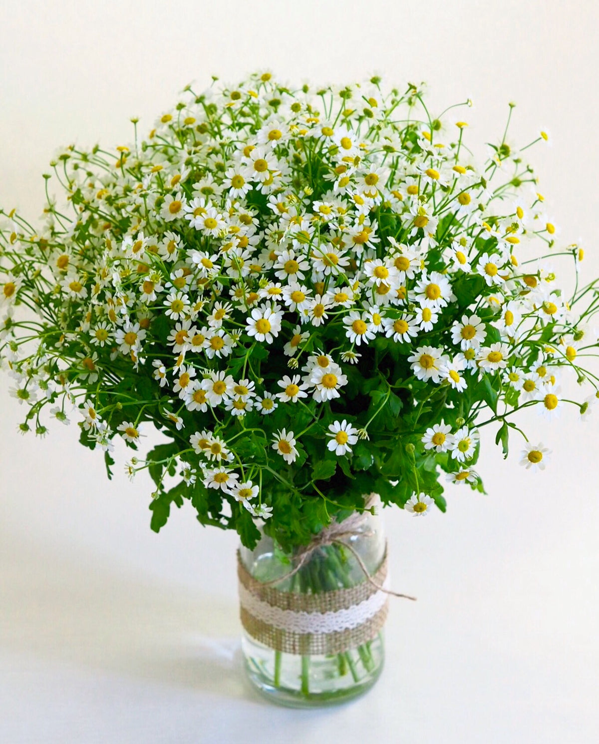 Chamomile Cloud Bouquet
