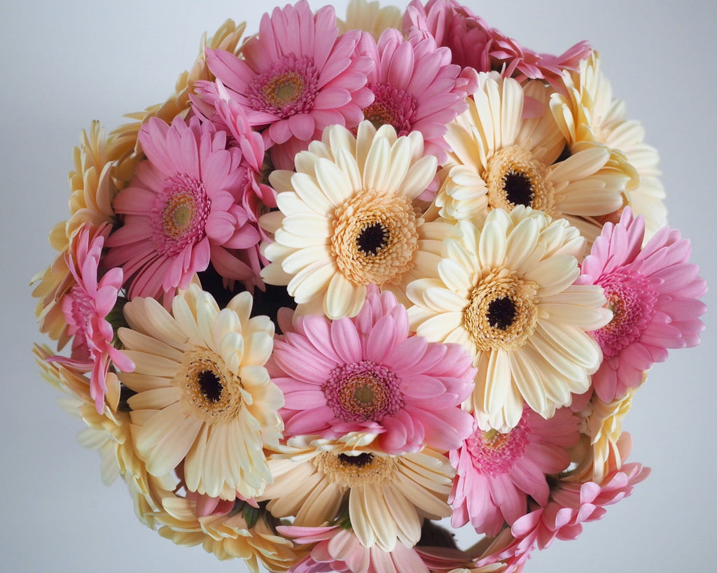 Gerbera Bouquet