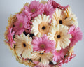 Gerbera Bouquet