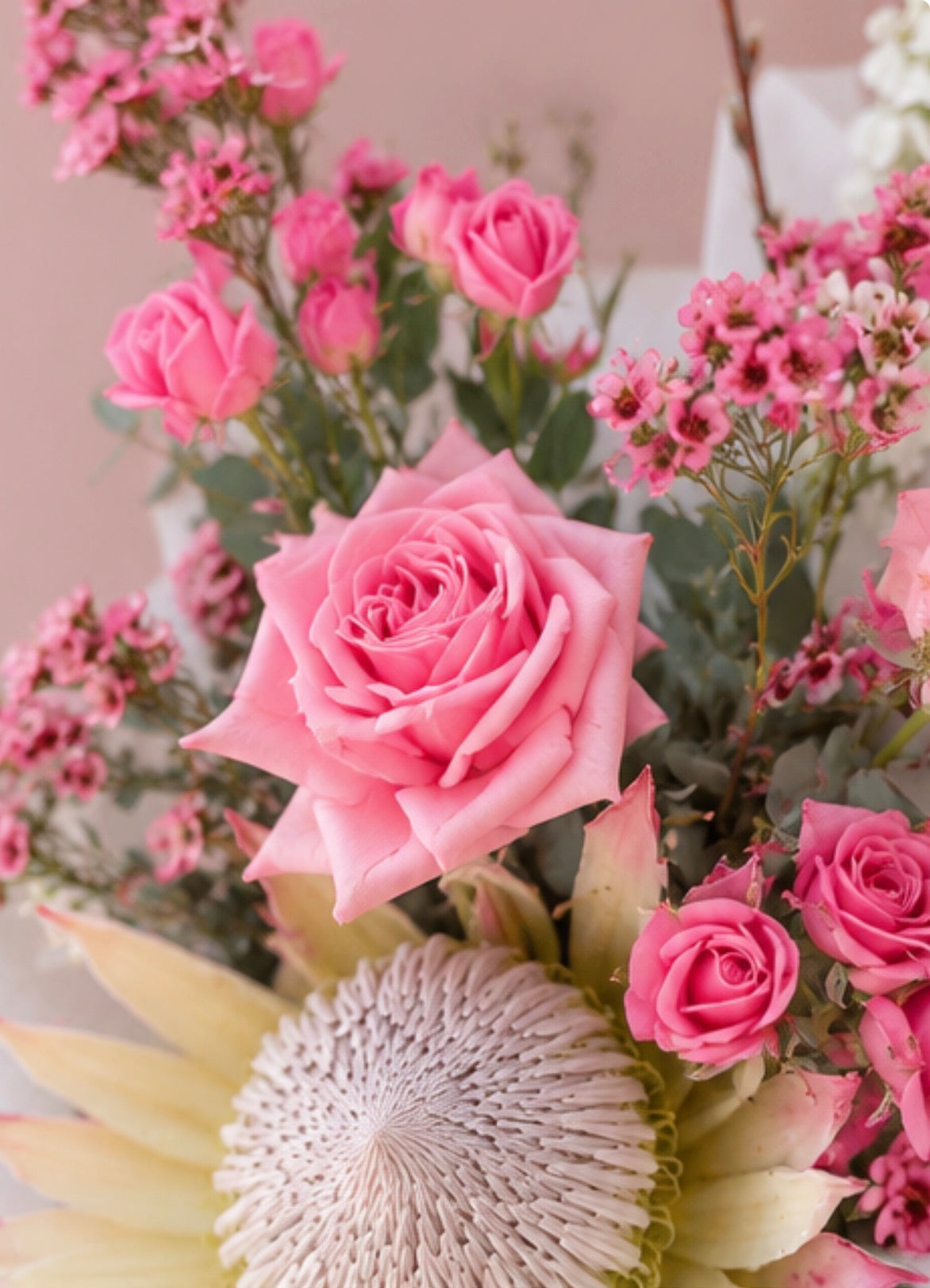 Blush Protea Petite