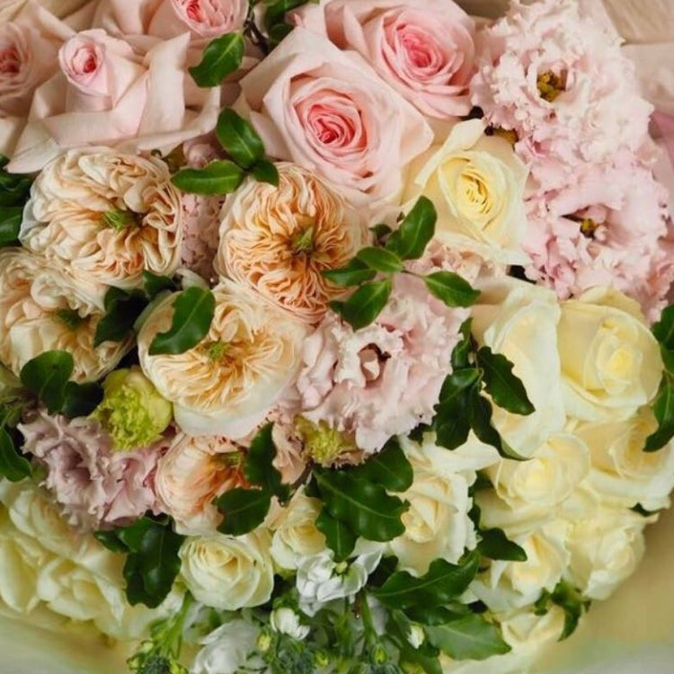 Morning Blush
