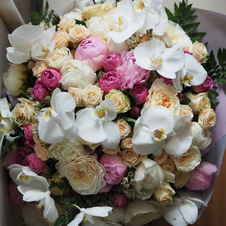 Orchid Royale