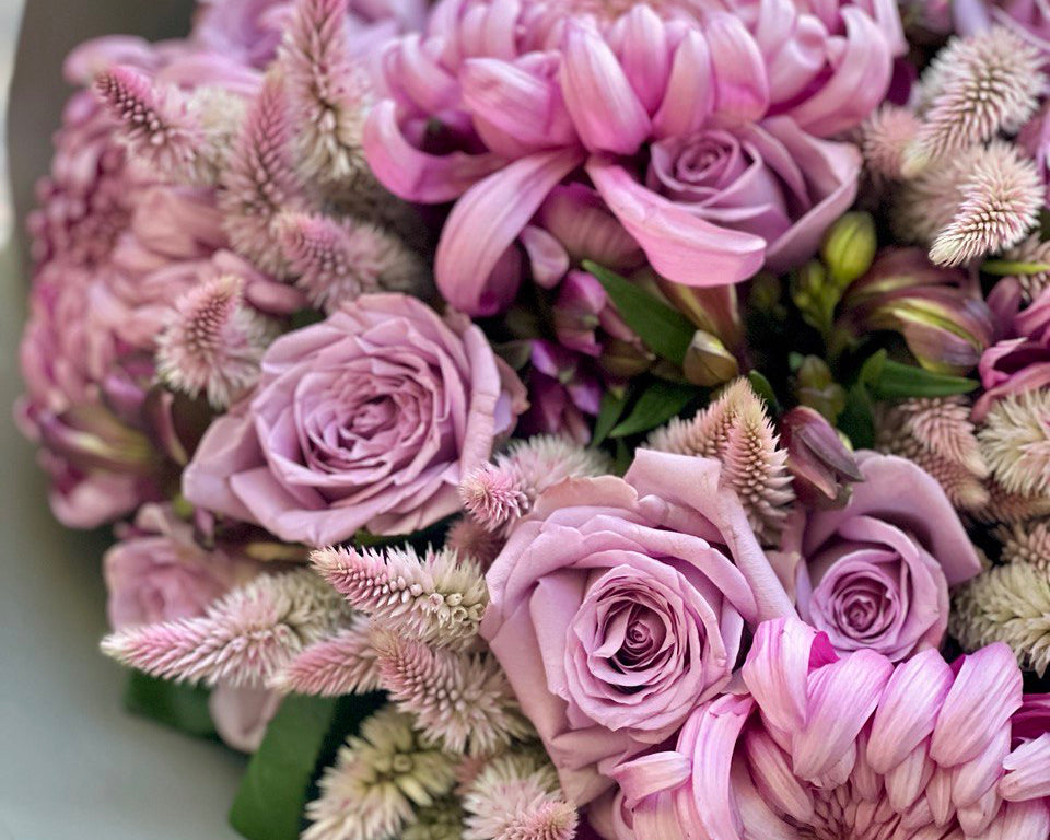 Mauve Dreams