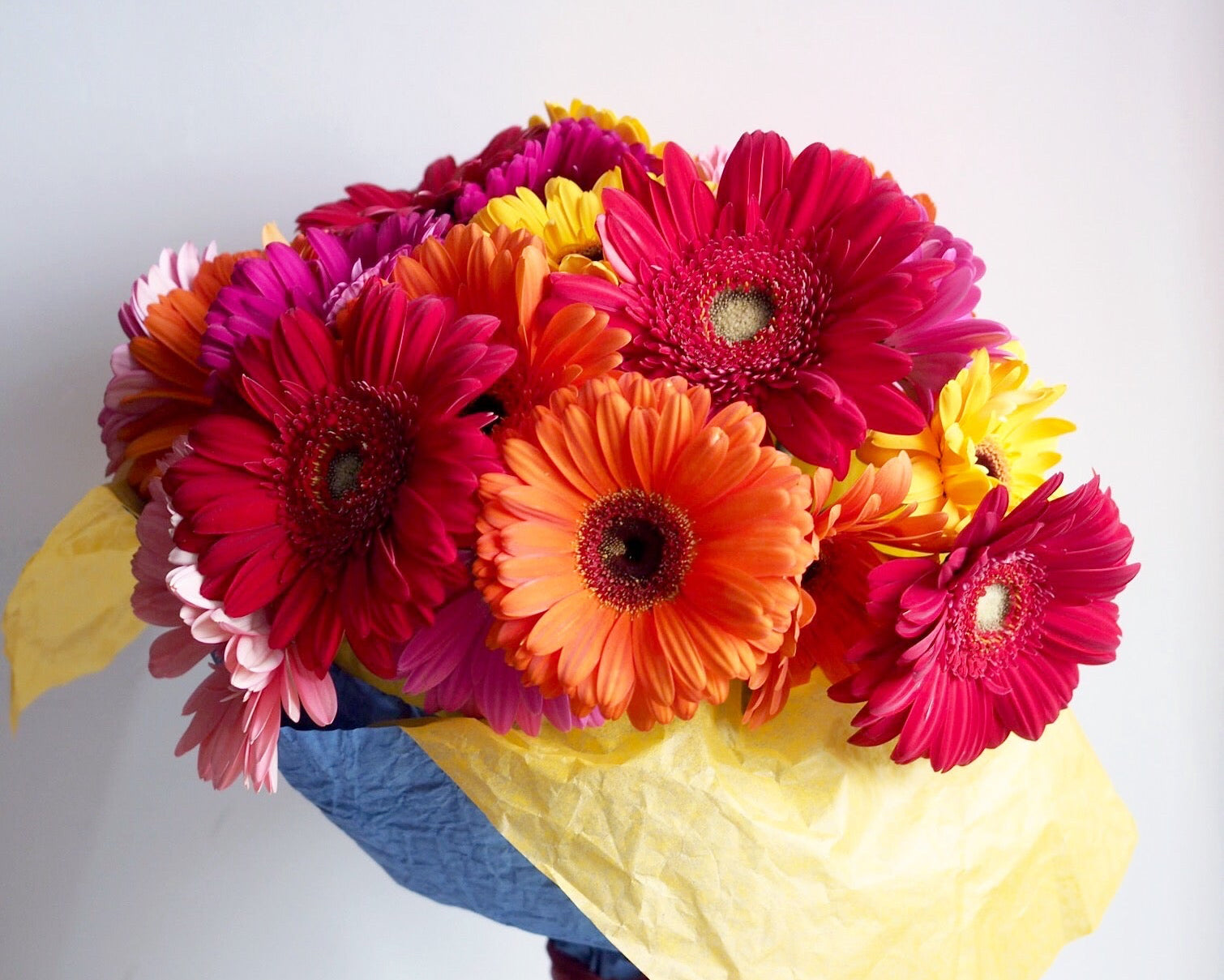 Gerbera Bouquet