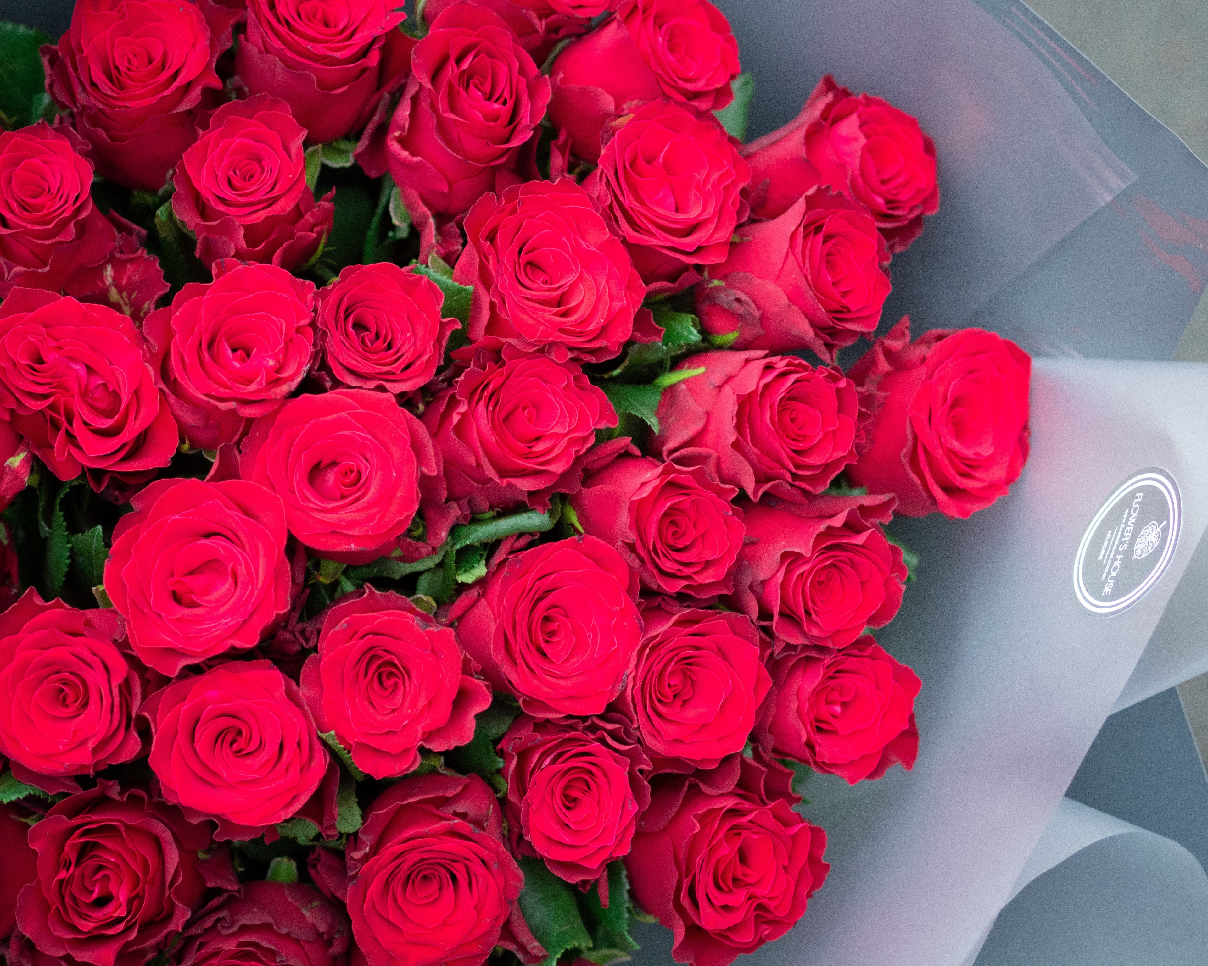 Premium Long-Stem Roses