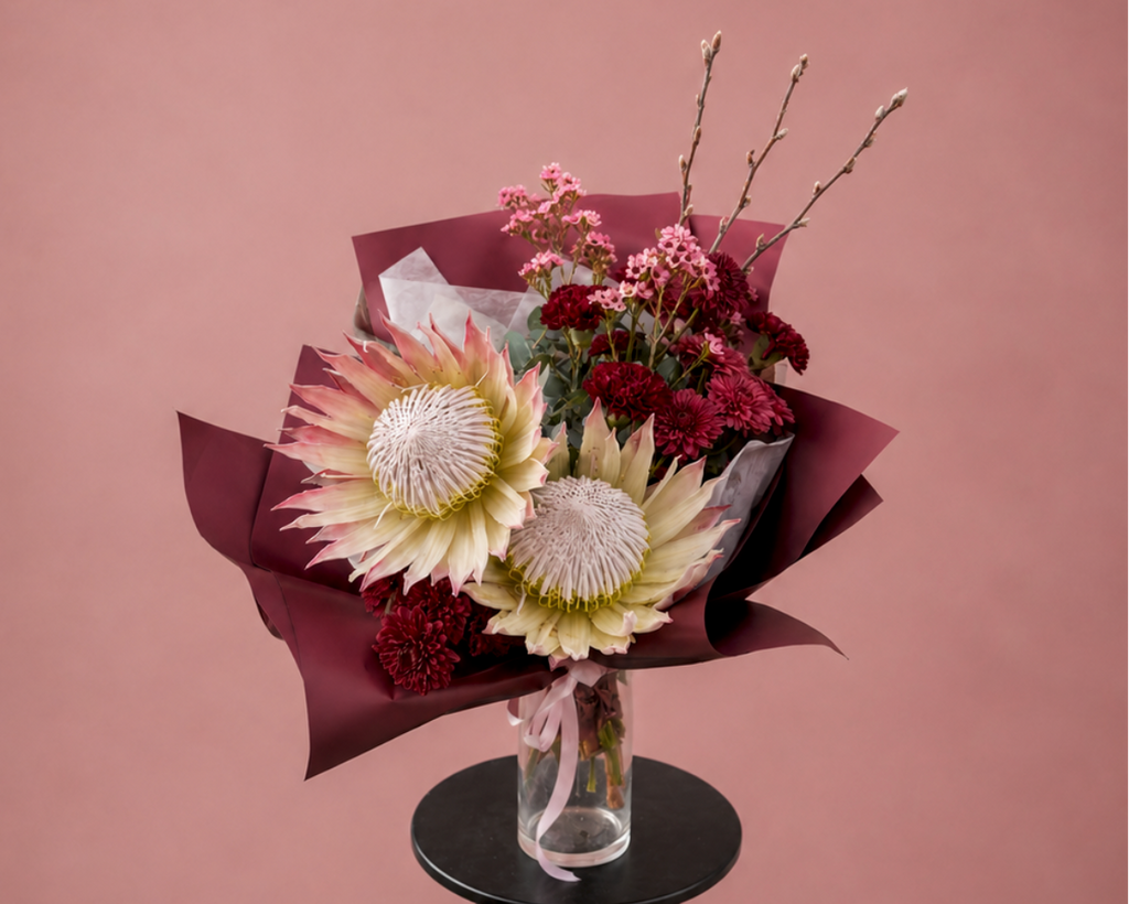 Blush Protea in red