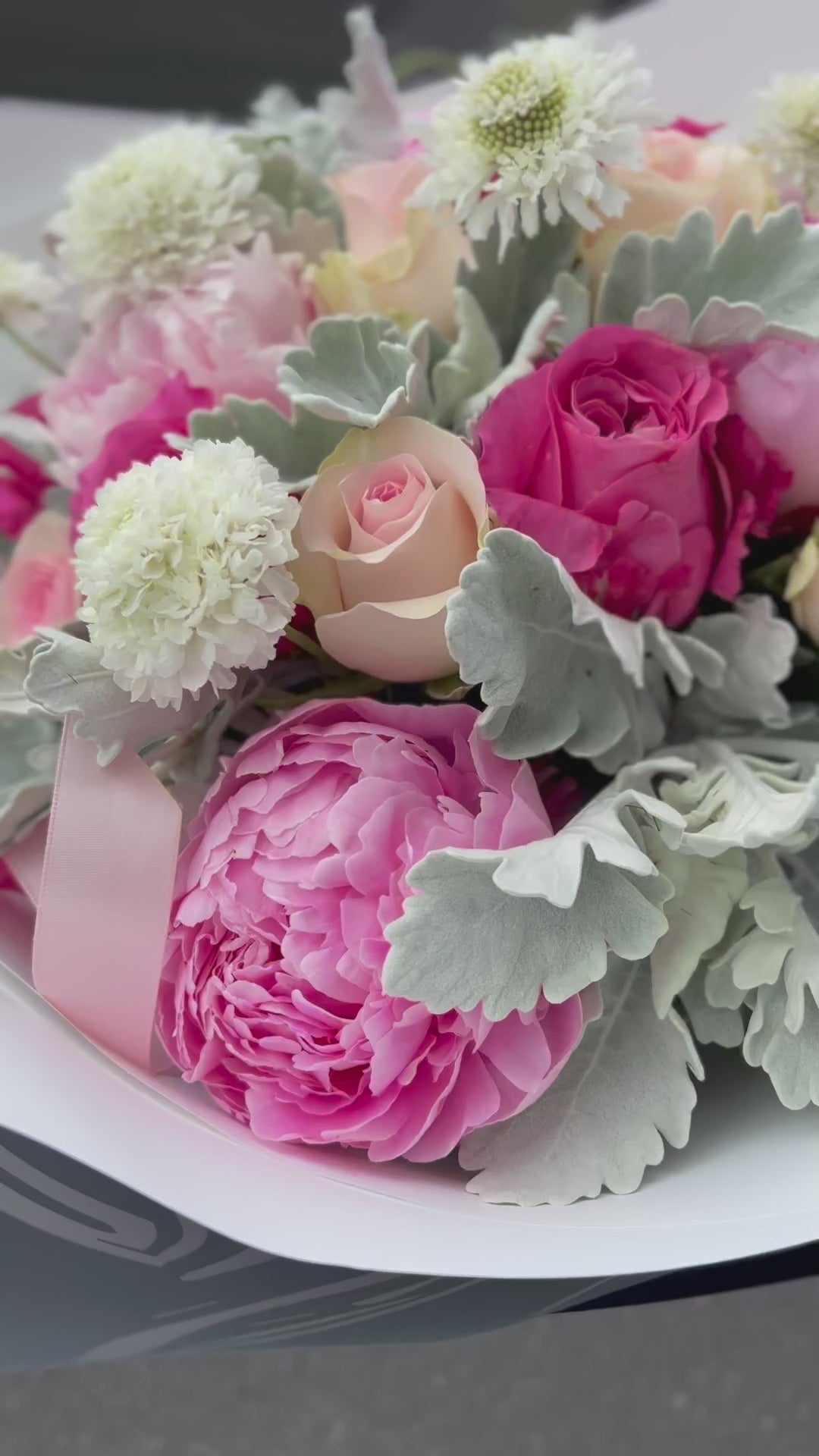 Velvet Blush